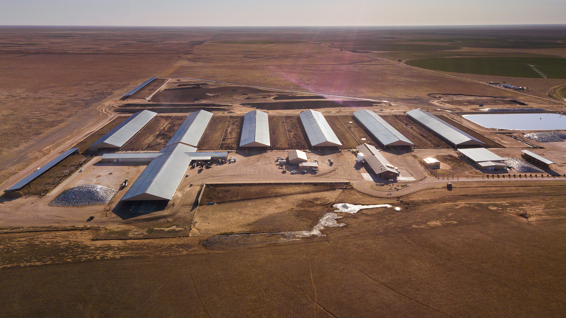 Avilanche Dairy Dalhart Real Estate Dalhart, TX